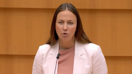 Евродепутатката от ЕНП Ева Майдел обвини ЕС в разногласия и