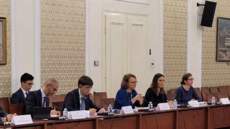 Селин Гауер (в средата) на среща с представители на парламентарни комисии в Народното събрание
