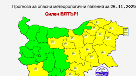 Снимка: НИМХ
