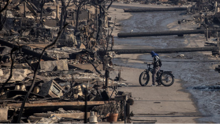 Aftermath of the Los Angeles fires