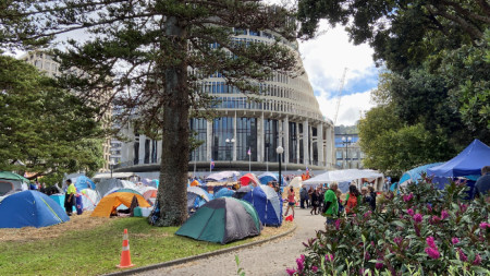Властите в Нова Зеландия се опитват да прогонят протестиращи срещу