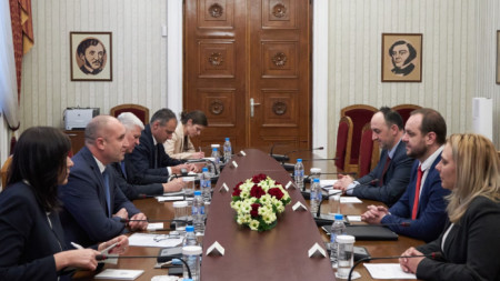 Президентът Радев разговаря с вицепремиера Борислав Сандов за зелените политики