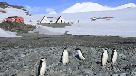 Baza bullgare në Antarktidë