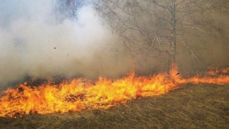 Най близкият пожар в Република Северна Македония е на около