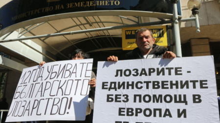 The National Association of Bulgarian Vine-growers protest in front of the Ministry of Agriculture on March 24, 2022.