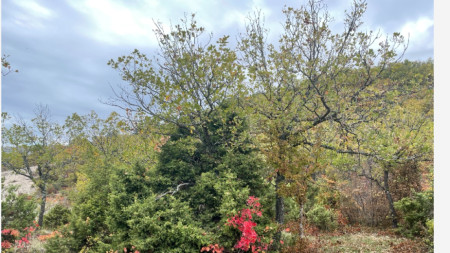 По пътя край Големия и Малкия казан, община Момчилград