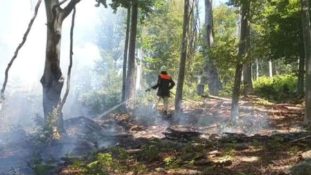 Букова гора край Севлиево е била спасена от изпепеляване благодарение