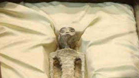 Предполагаемите мумифицирани останки, донесени от Хайме Маусан.