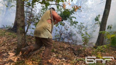 Цели пет дни пожарникари, доброволци и екипи на горските стопанства се бориха с горския пожар в Провадийско
