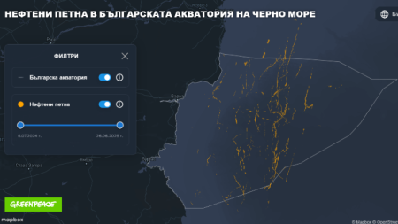 Скрийншот на интерактивната карта по темата.