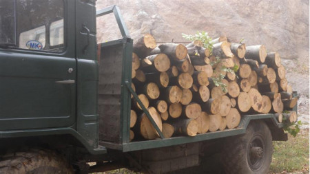 Камион превозващ над 20 пространствени кубически метра дърва за огрев