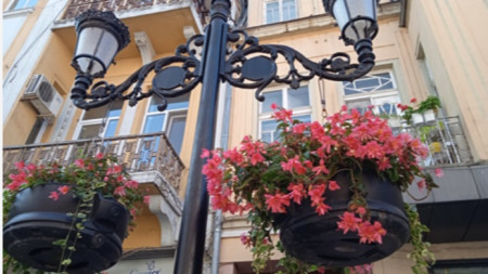 Цветя на Главната улица в Пловдив