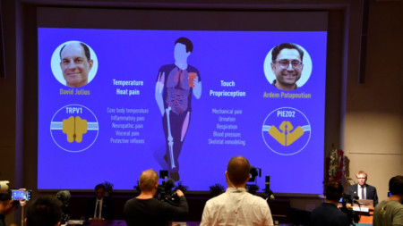 Американските учени Дейвид Джулиъс и Ардем Патапутиян спечелиха Нобеловата награда за медицина през 2021 г.