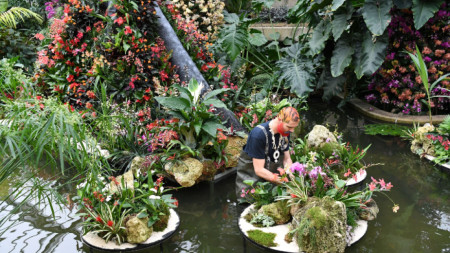 Британските кралски ботанически градини в Лондон известна също като Kew