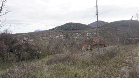 Село  Ба̀лювица, община Берковица