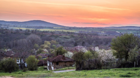 Оживление на пазара на селски имоти отчита Община Павликени По