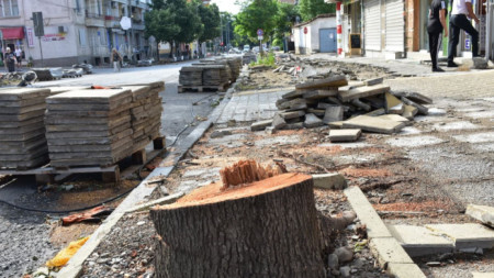 Група граждани се обявиха и против изсичането на дървета по булевард „Хаджи Димитър“.