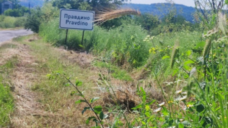 Правдино