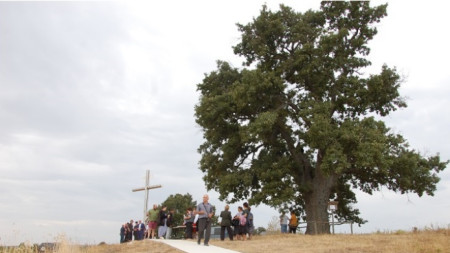 България участва в тазгодишния конкурс Европейско дърво на годината Желаещите