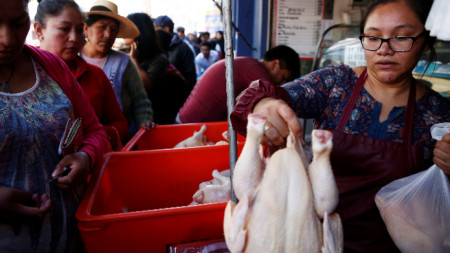 Опашка за пилета в столицата на Боливия Ла Пас