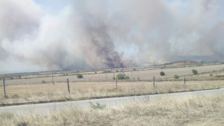 Пожарът, възникнал в борова гора в района между селата Еленово и Сокол, община Нова Загора.