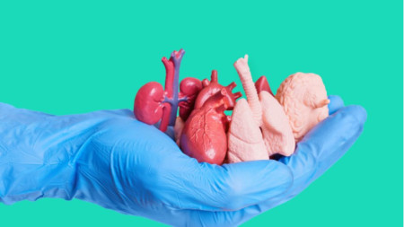 Илюстрация