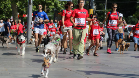 Маратон за кучета и стопаните им бе една от проявите в рамките на инициативата „Живей активно“ днес в София.