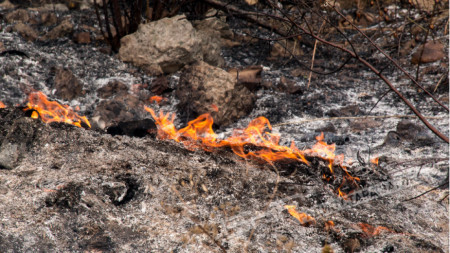 Екипи на пожарната за пореден път гасиха пожар край кюстендилския