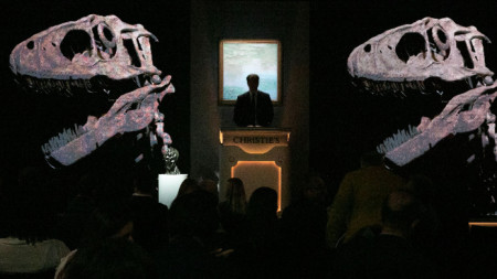 Скелетът на динозавър дейнонихус наречен Хектор беше продаден на търг