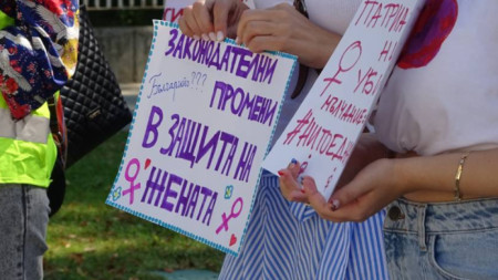 Pancartas por la lucha contra la violencia de género, a favor de la Convención de Estambul, foto: BGNES