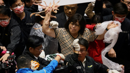 Тайванската опозиция замери свои колеги със свински черва.