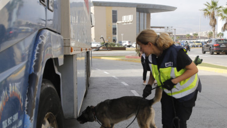 Полицайка и  следово куче проверяват камион на пристанището, търсейки нелегални мигранти в Мелила, испански анклав в Северна Африка, архив, 12 септември 2022 г. 