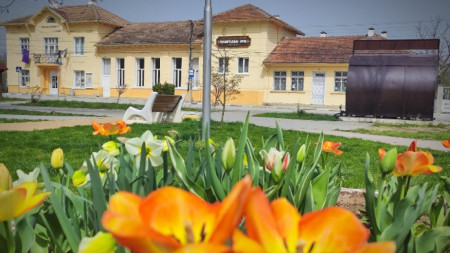Село Шемшево