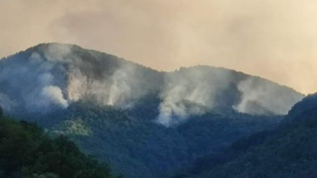 Продължава гасенето на горския пожар над родопското село Югово Огънят