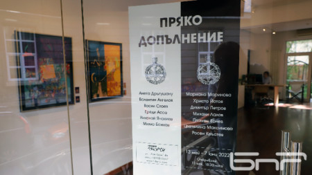 13 български художници направиха съвместна изложба в столичната галерия Ракурси  Изложбата