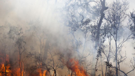 Продължава борбата с горския пожар избухнал в района на село