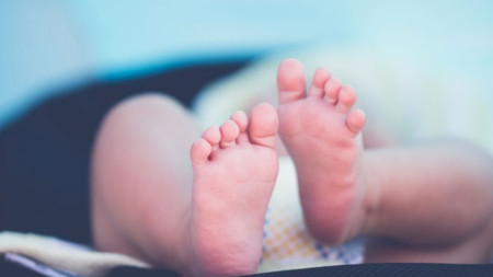 В Плевен приеха наредба за стимулиране на раждаемостта в общината