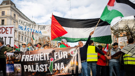 Протест в подкрепа на палестинската кауза във Виена