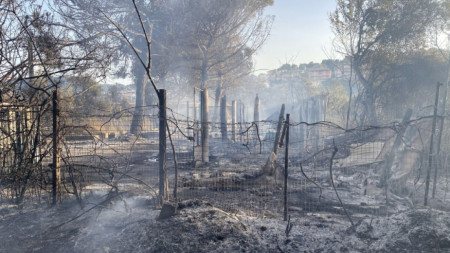 Изпепелен от пожар район в природен резерват в Пескара, Италия.