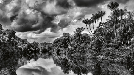 Амазония, видяна от Себастиао Салгадо и изфантазирана от Жан-Мишел Жар