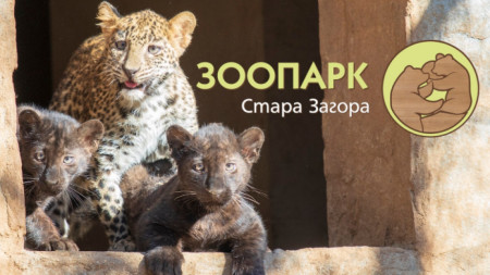 Снимка: ФБ страница на Зоопарк Стара Загора 