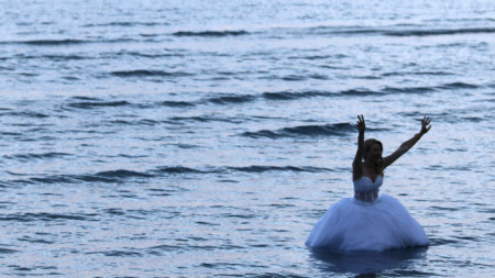 Булка позира за снимка във водата край Ларнака.