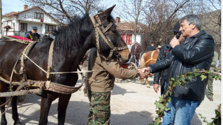 Традиционните кушии по повод Тодоровден в Пернишко ще се състоят