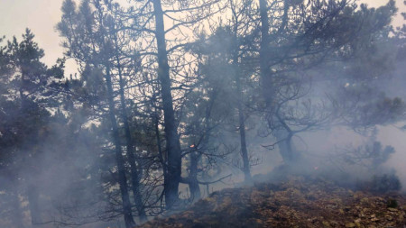 Пожар който от два дни гори в района на  кюстендилското