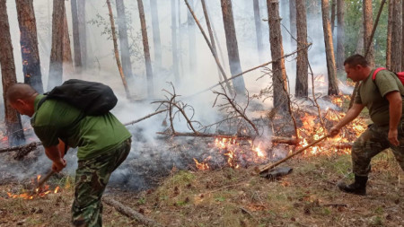 Пожарът в Родопите слиза към Югово обявено е частично бедствено