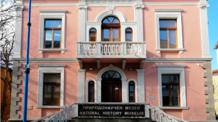 Природонаучният музей в Бургас е единствен в района на Югоизточното