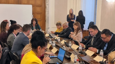 На заседанието на Комисията по демографската политика, децата и семейството в НС - 5 ноември 2025 г.  