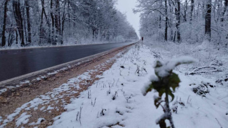 В Разградско - 28 декември 2024 г.