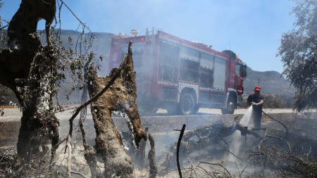 Пожарникари работят в маслинова горичка в Амфиса, Централна Гърция, 5 юли 2022 г.