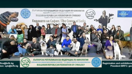 Българската републиканска федерация по кинология БРФК е единственият легитимен представител